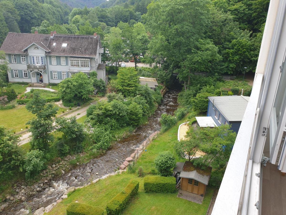 Apartz - Bad Harzburg - Apartment Mit Sauna In Idealer Lage Mit Bergblick Esterno foto