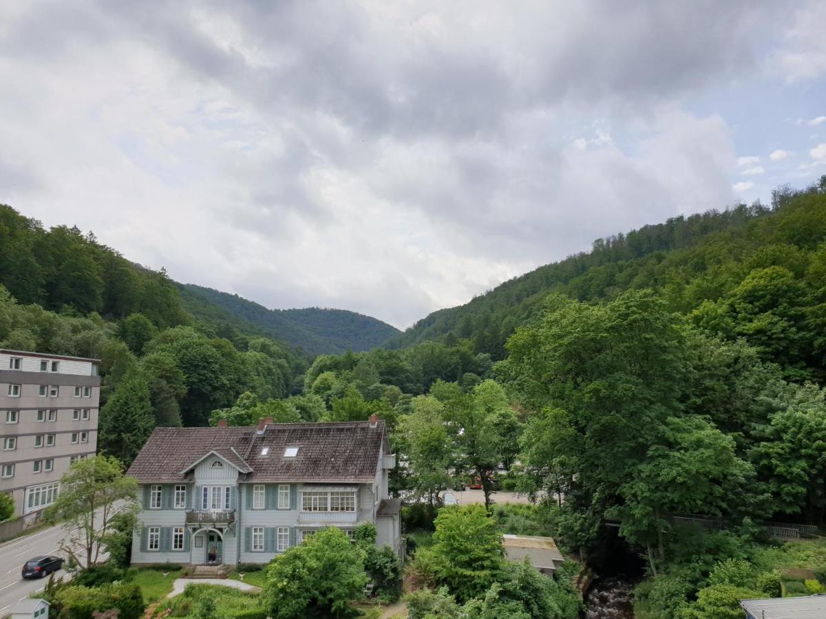 Apartz - Bad Harzburg - Apartment Mit Sauna In Idealer Lage Mit Bergblick Esterno foto